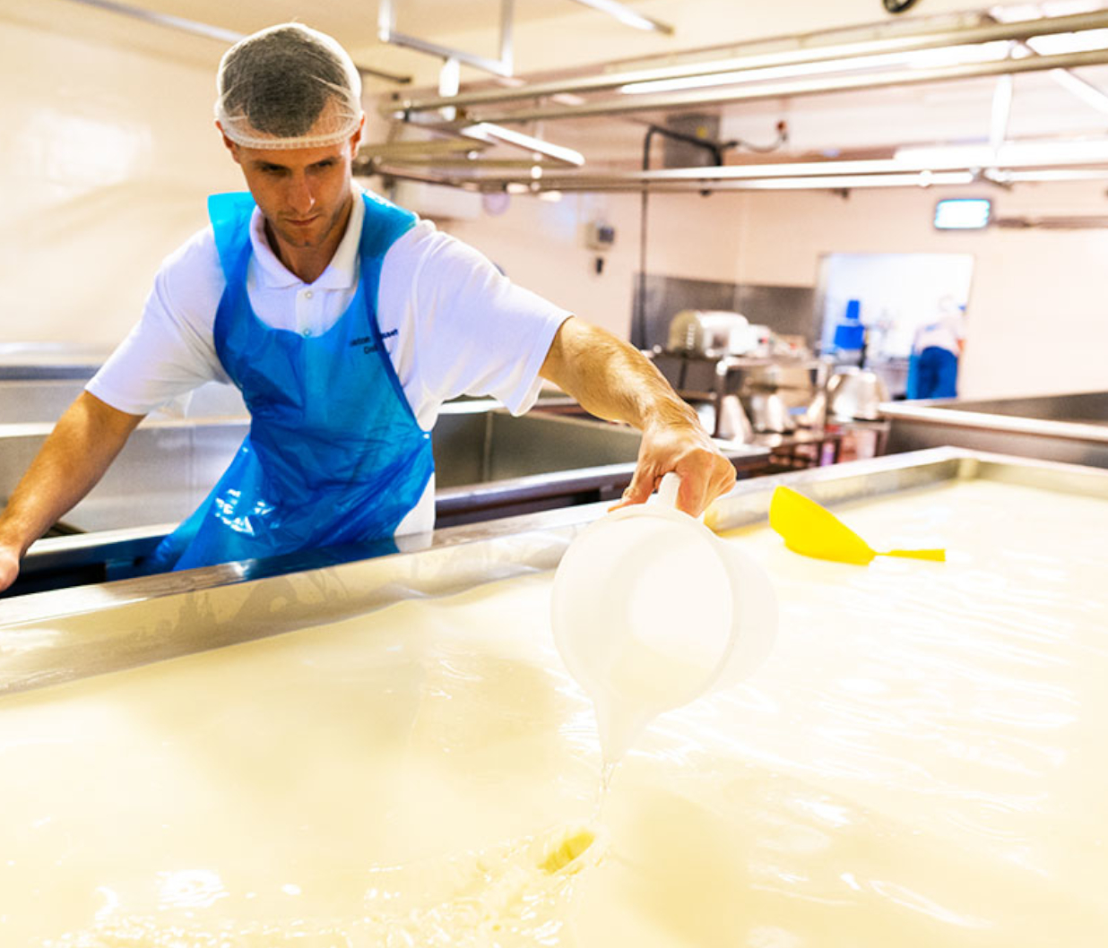 Cheese Making 2