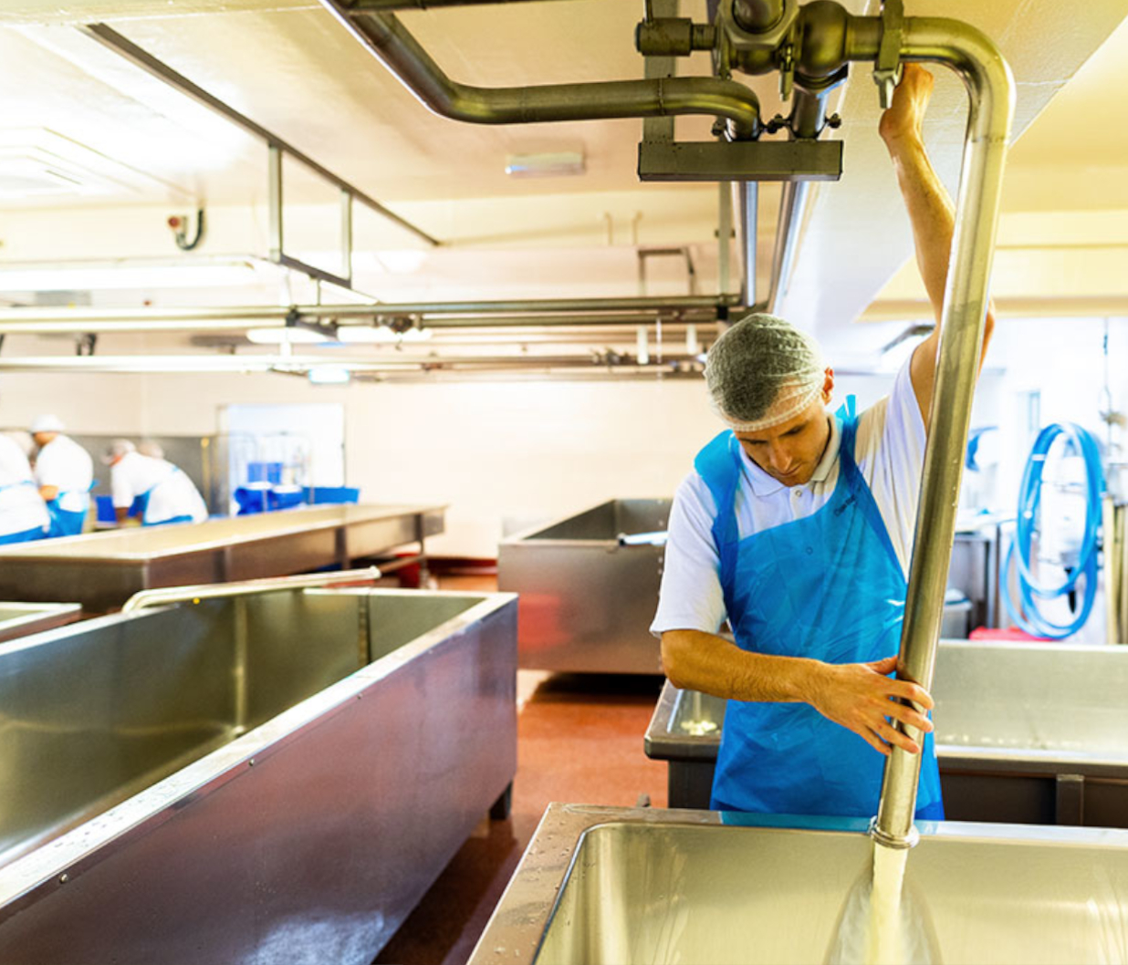 Cheese Making 3