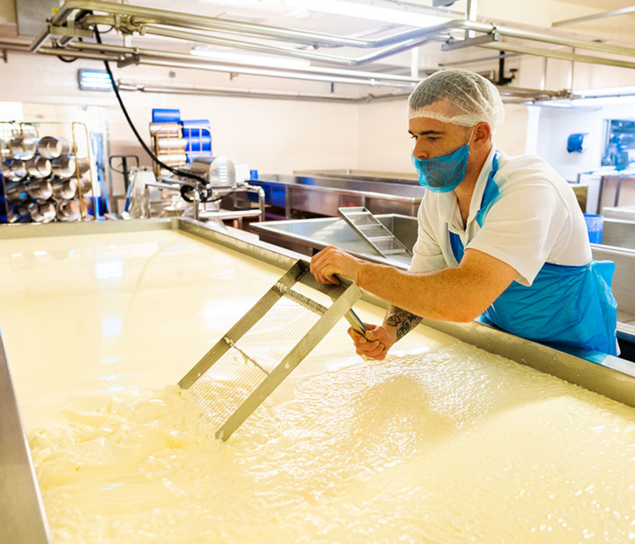Cheese Making